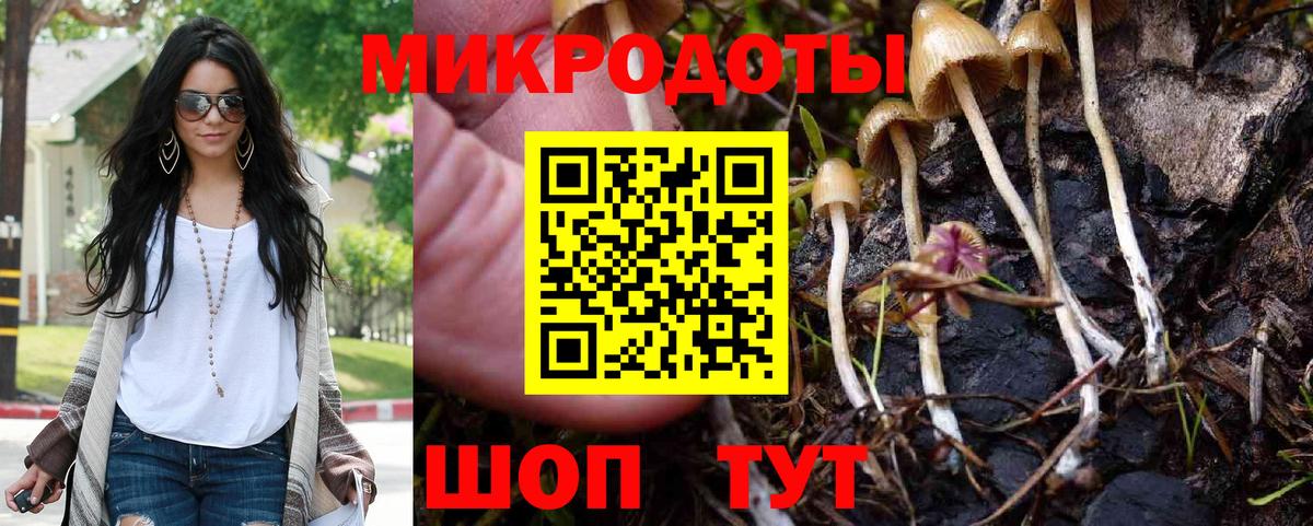 Галлюциногенные грибы прущие грибы  Вход с VPN  Димитровград 