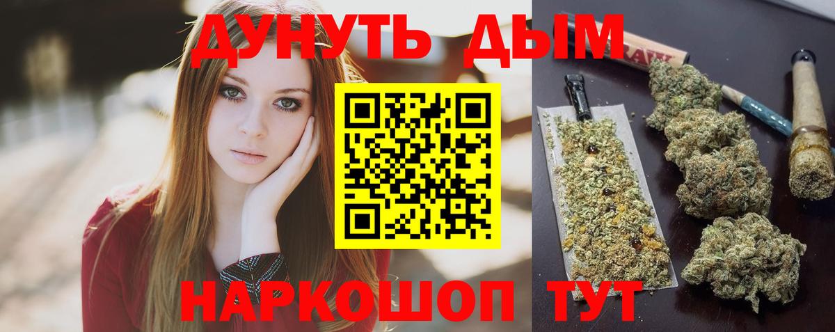 Бошки Шишки план Димитровград